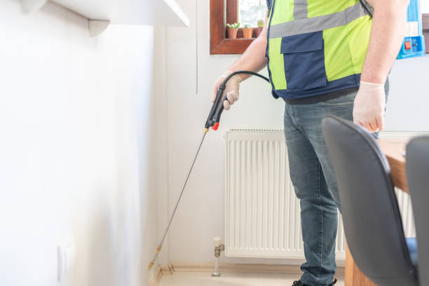 Reliable Gosnell, AR Pest Control Solutions