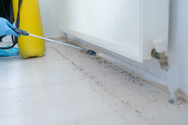 Best Pest Removal Services  in Gosnell, AR