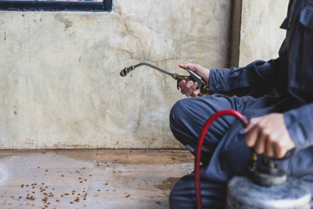 Best Pest Control Near Me  in Gosnell, AR