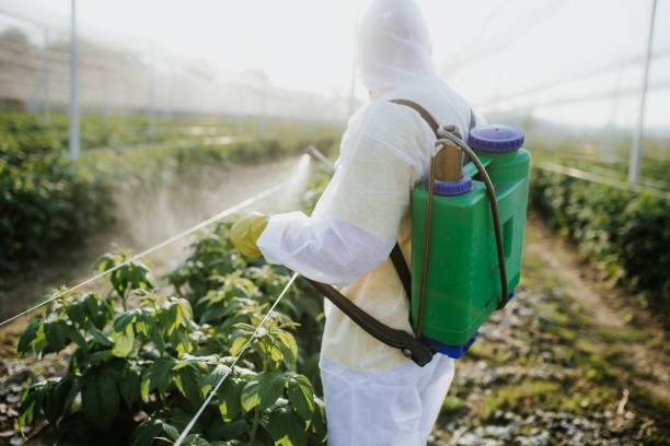 Best Ant Control Services  in Gosnell, AR